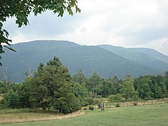 BackAlleghenyMountain.jpg