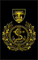Royal Bahamas Defence Force[8] 