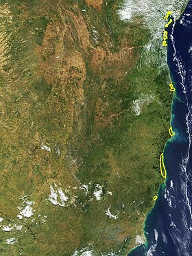Imagem de satélite da costa do Espírito Santo e Bahia mostrando a localização da ecorregião dos Mangues da Bahia (linha amarela), segundo o WWF.