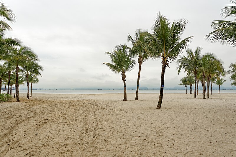 File:Bai Chay beach, Ha Long, Vietnam, 20240129 0915 3958.jpg