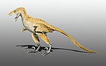 Miniatura pro Bambiraptor