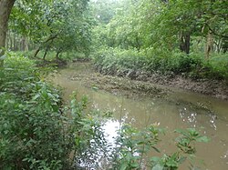 Barakashipur Forest.JPG