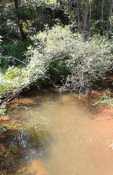 File:Bennys Run looking upstream.JPG