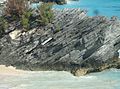 Bermuda (UK) image number 236 limestone near ocean.jpg