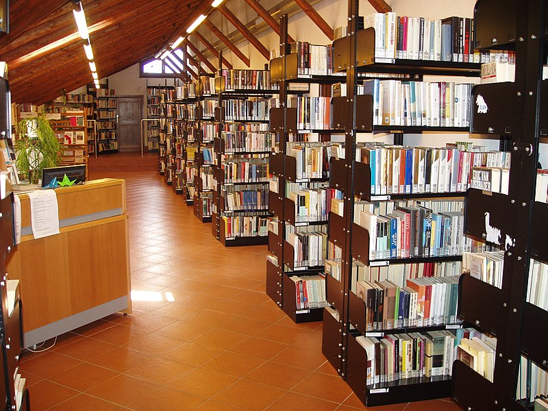 Se ti dico biblioteca, cosa pensi? Come gli italiani percepiscono la  biblioteca