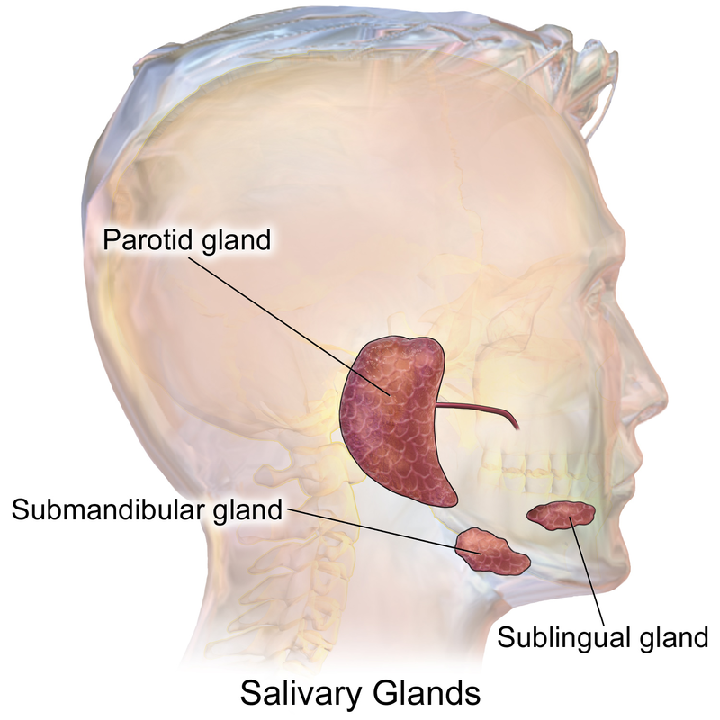 Scar revision - series—Normal anatomy: MedlinePlus Medical Encyclopedia