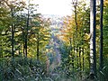 Blick von oben ins Tal