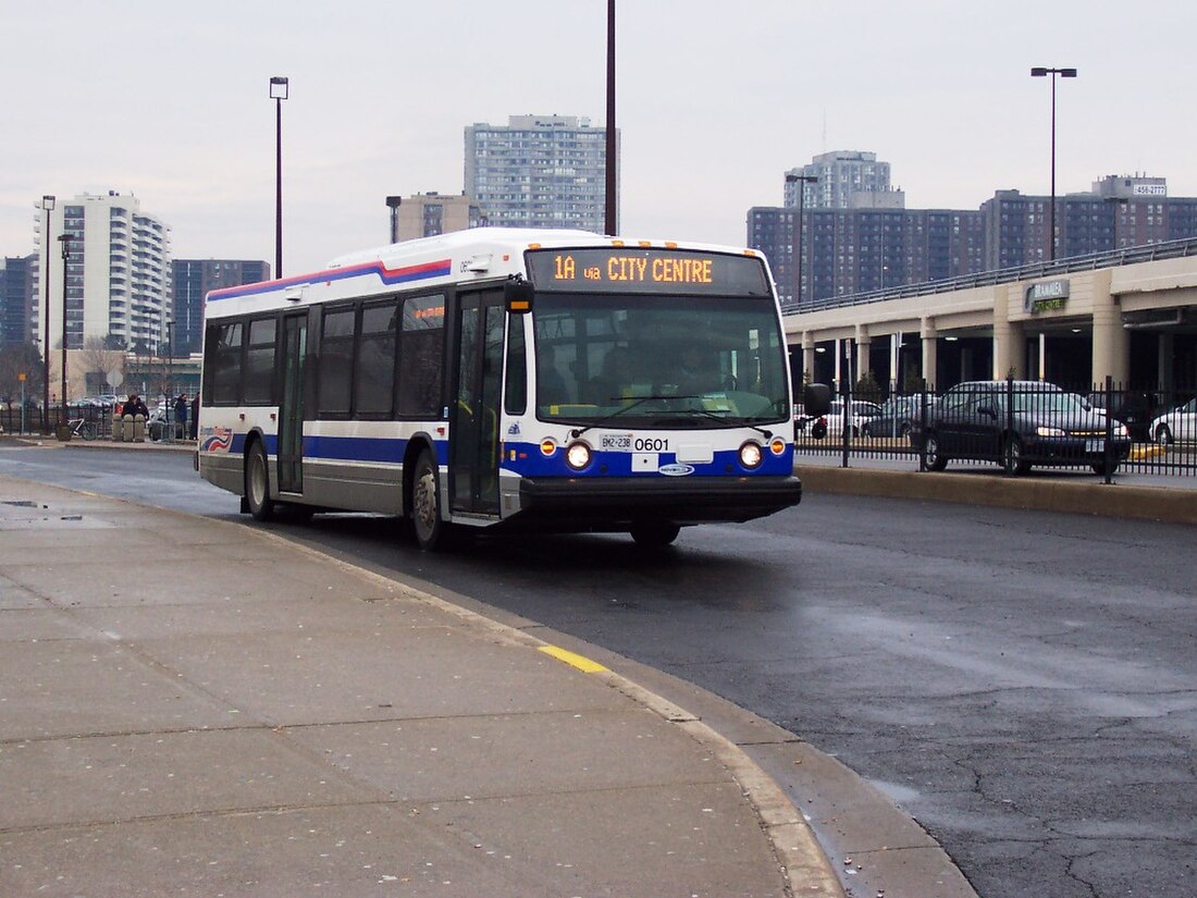 Brampton Transit