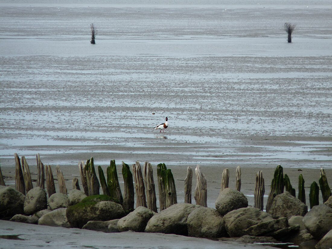 Nationaal Park Hamburgisches Wattenmeer