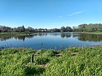 Brewer Park Pond