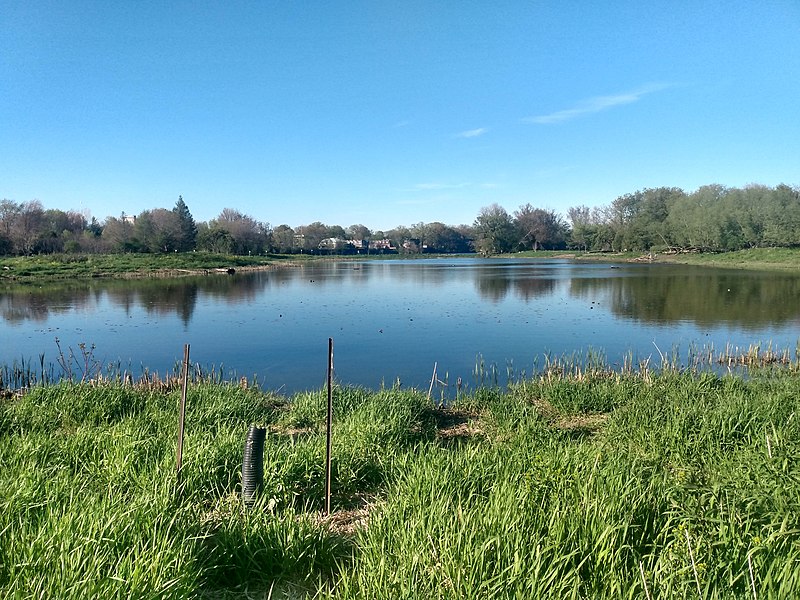 File:Brewer Park Pond.jpg