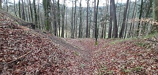 Der noch gut sichtbare Halsgraben im Norden Richtung Bankholzen