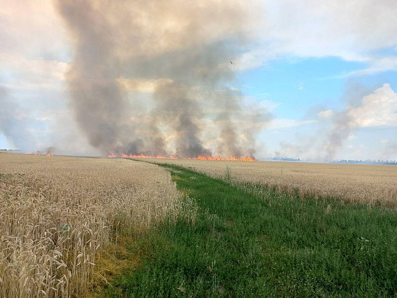 File:Burning field near Andriivka, 2022-07-05 (02).jpg
