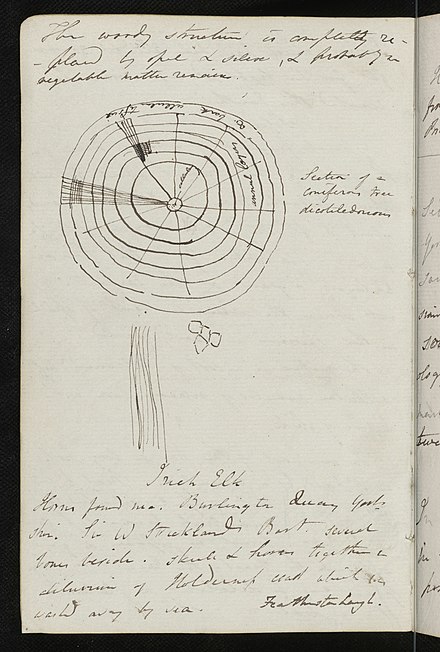 A page from one of Lyell's notebooks, held in the University of Edinburgh's Heritage Collections
