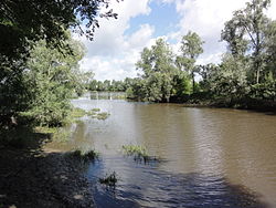 Candé-sur-Beuvron (Loir-et-Cher) confluence Beuvron-Loire.JPG