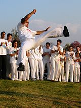 CapoeiraArmadaPulada ST 05.jpg