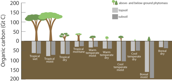 Amount of carbon stored in Earth's various terrestrial ecosystems, in gigatonnes.[21]