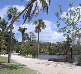 Jardins des Caraïbes au zoo de Naples.jpg