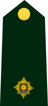 Cdn-Army-2Lt(OF-1)-2014.svg
