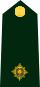 Cdn-Army-2Lt(OF-1)-2014.svg