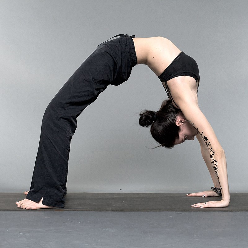 ashish_universal_yog_agra - Wheel Pose — Chakrasana or Urdhva Dhanurasana —  also called as Full-Wheel Pose and Upward Bow Pose, is a backbending  posture that opens up the chest, tones the thighs, abdomen