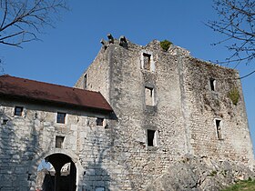 Chateau de Rochefort sur Séran - 1.JPG