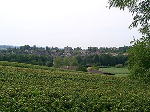 Cheilly-lès-Maranges.JPG