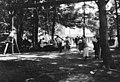 Children playing on swings, probably at Bloedel-Donovan Lumber Mills employees picnic, ca 1922-1923 (INDOCC 1110).jpg