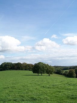 Chilterns England Rolling Countryside.jpg