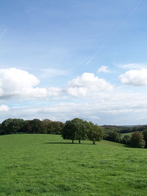 Near Nettlebed, Oxfordshire