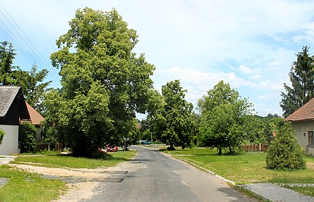 Chudíř, main street