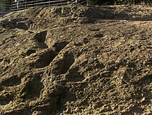 View of the footprints with walkway above Ciampate del diavolo2.jpg