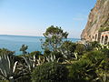 Giardino tunnel dell'Amore