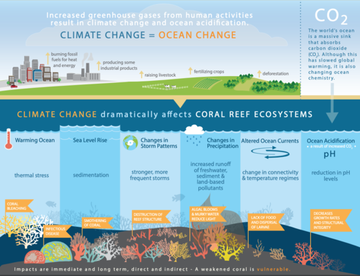 A visual representation of the threats climate change imposes on tropical coral reef ecosystems Climate change threats to coral reefs.png