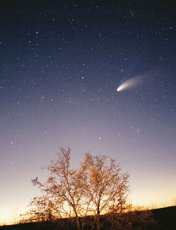 Comet Hale-Bopp, as seen on 29 March 1997 in Pazin, Croatia