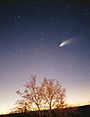 Der Komet Hale Bopp im Jahre 1997