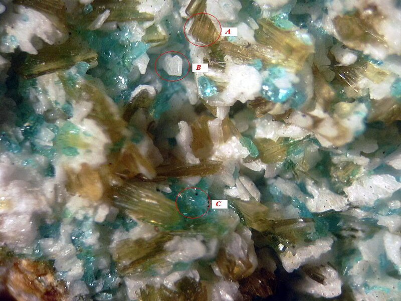 File:Copiapite Group, Alunogen, Chalcanthite - Quetena Mine, Chuquicamata District, Antofagasta, Chile.jpg