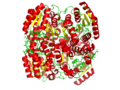 Vignette pour 2,4-Diénoyl-CoA réductase