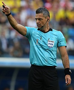 Damir Skomina.jpg