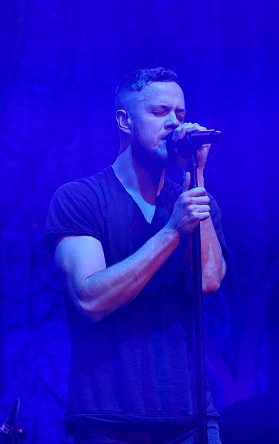 Dan Reynolds Net Worth, Biography, Age and more