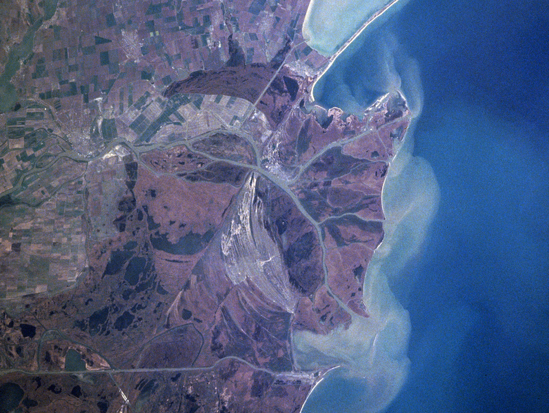 File:Danube delta satelite.png