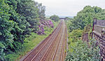 Daresbury railway station