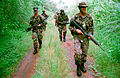 U.S. Marines patrol a Panamanian jungle in June 1999.