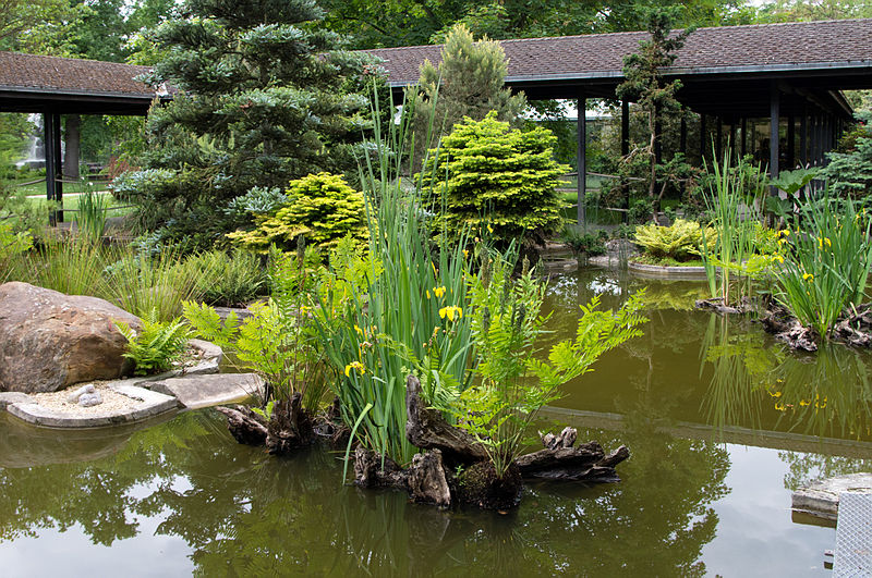 File:Devant un pavillon japonais du Parc Floral.jpg