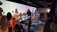 Interactive River Of Grass exhibit.