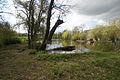 Estany-font del Dijle