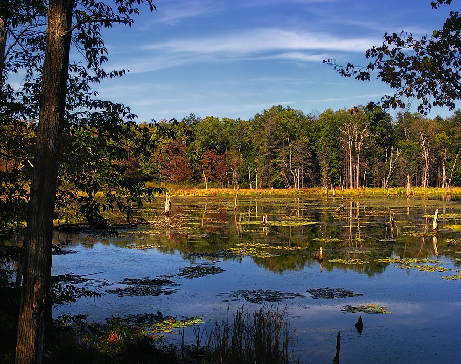 Dimock Township page banner