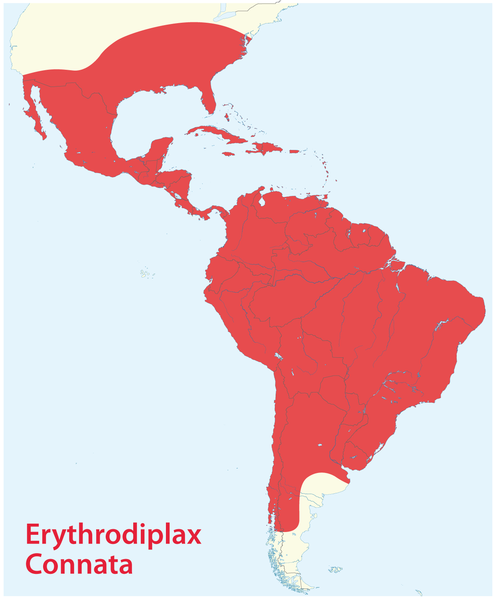 File:Distribution Map of Erythrodiplax Connata.png