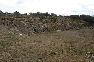 <span class="mw-page-title-main">Hornsleasow Quarry</span> Site of Special Scientific Interest in Gloucestershire