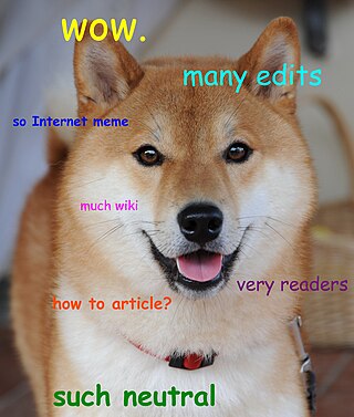 <span class="mw-page-title-main">Doge (meme)</span> Internet meme